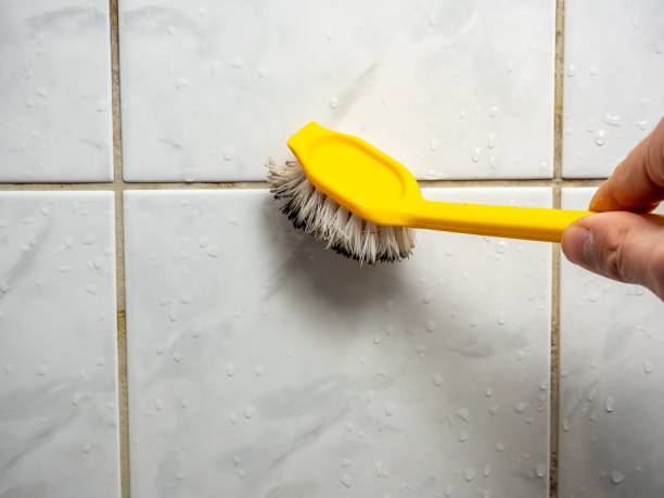 Best DIY Mold Remediation Support Services in Cabana Colony, FL